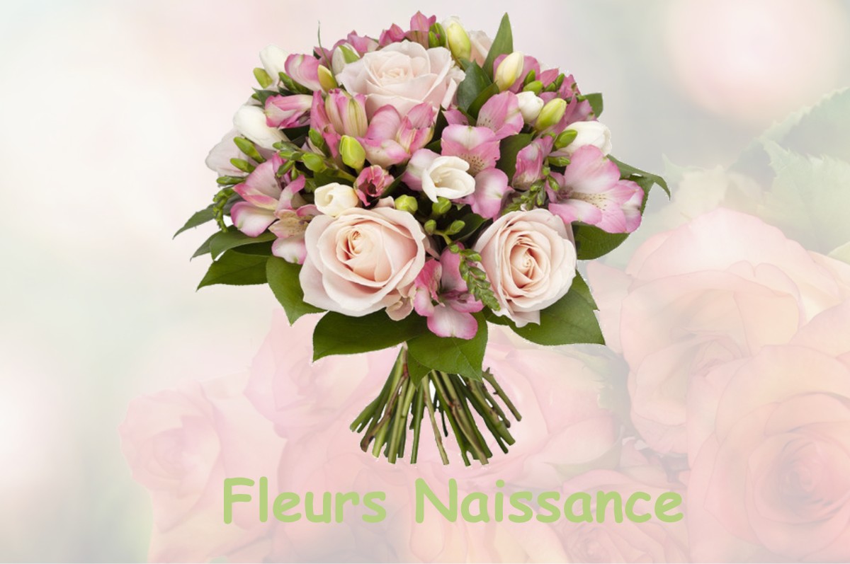 fleurs naissance CAUSSE-BEGON