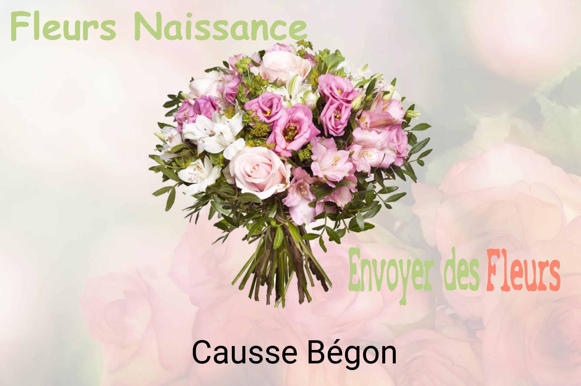 Bouquet de fleurs de naissance livré à Causse-Bégon
